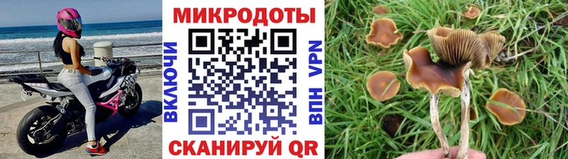 Псилоцибиновые грибы ЛСД  Талица 