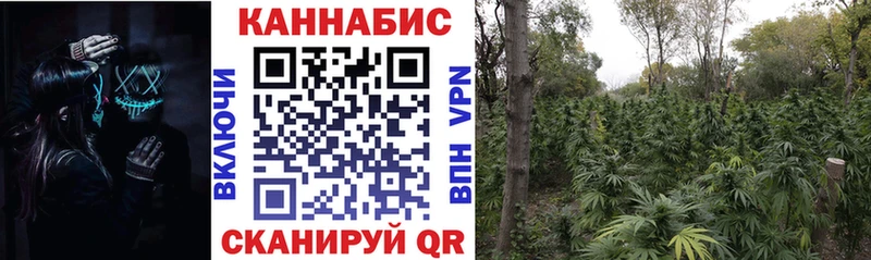Канабис VHQ  наркотики  MEGA ссылка  Талица 